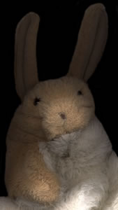 Babbit
