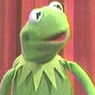 kermit the frog