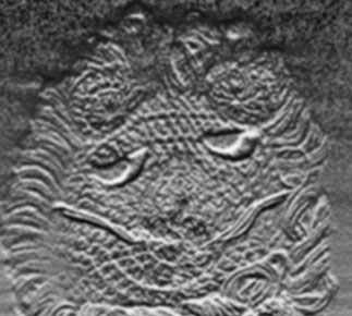 moon image