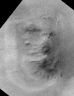 mars lion