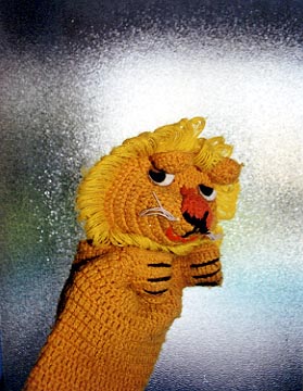 lion photo